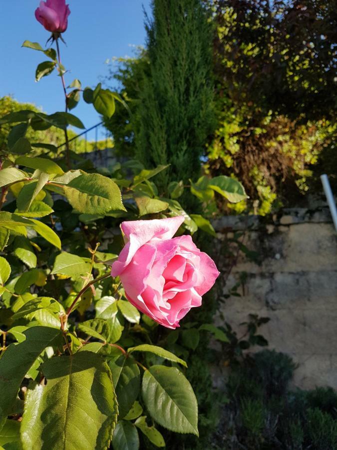 Le Clos Des Etoiles Le Bugue Buitenkant foto